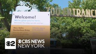 The Bronx Zoo celebrates 125th birthday with new exhibit