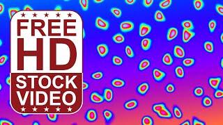 Free Stock Videos - abstract colorful spots morphing changing colors 2D animation