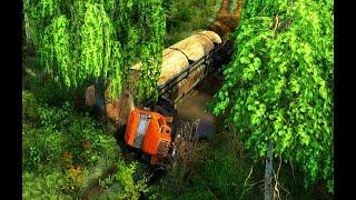 When the Load is Too Much: The Oversized Timber Truck Accident !!