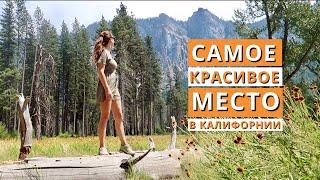 Йосемити - самый красивый национальный парк в Калифорнии. Чем заняться в долине?Отели, еда, магазины