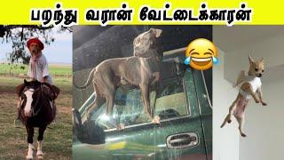 சாகசம் செய்யும் விலங்குகள்  | பறந்து வரான் வேட்டைக்காரன் | Hoomans