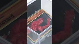 Flaming’ Hot Cheeto shaped as Michael Jordan ‘Jumpman’ up for auction