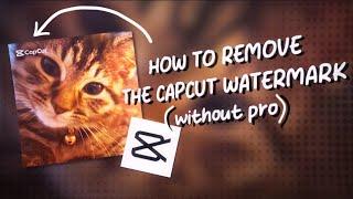 how to REMOVE the CAPCUT WATERMARK (without PRO!)