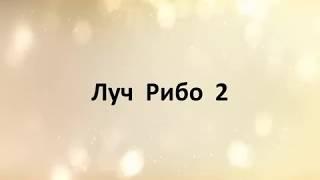 Учение Аркадия Петрова Древо Жизни Луч Рибо 2