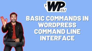 [WP CLI] How To Use WordPress Command Line Interface