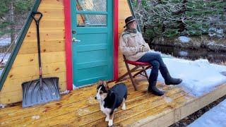 CALMING VIBES at my off-grid cabin