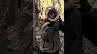 Cooking with a secure and diminutive flame #camping #outdoors #forest #bushcraft #survival