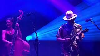 “Dooley’s Farm” - Molly Tuttle & Golden Highway - 12/13/24 - Strings & Sol - Puerto Morelos, MEXICO