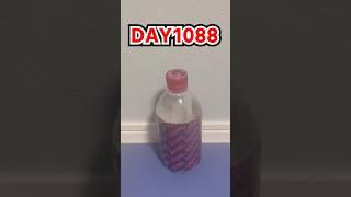 Daily Bottle Flip Challenge day 1088 | GENN.