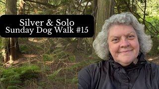 Relaxing dog walk along a salmon river on Vancouver Island