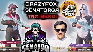 crazyFOX SENATORGA TAN BERDI  |