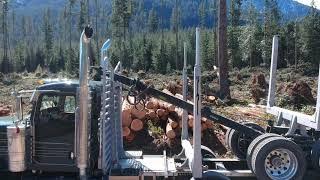 2021 Peterbilt 389   Mule Train Log Truck   Hauling Logs