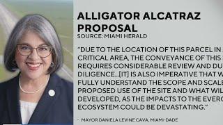 Miami-Dade County mayor reacts to Alligator Alcatraz proposal