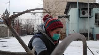 Шапка Нолика