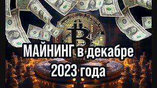 Майнинг в декабре 2023 года/Доходность и окупаемость в майнинге/ Майнинг на CMP 40/50hx