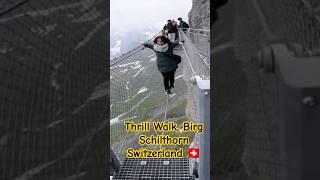 Thrill Walk | Birg | Schilthorn | Switzerland #thrill #walk #birg #schithorn #switzerland #travel