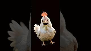 Bagad billa comedy  || Piyush ke dekha cobra #shorts #shortsfeed #souravjoshivlogs #youtubeshorts