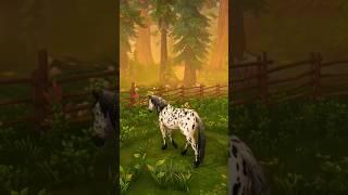 Star Stable Online edit! #funny #sso #funny #edit #foryou