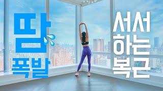 12 Min Standing Abs Workout No Jumping - 12분 서서하는 복근운동 홈트레이닝 - 체지방 태우기는 보너스