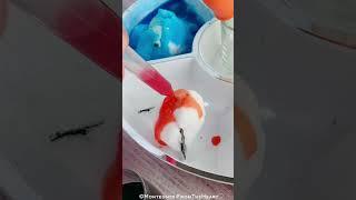 Fizzing Polar Regions Arctic Animals STEM Kids Science Experiment #montessoripreschool #preschool