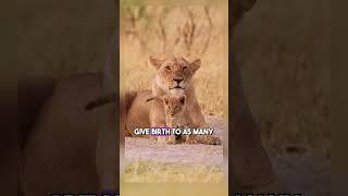 animal facts that will fascinate you!