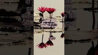 शायरी by Arya.....|103| #arya #shayri #love #poetry #feeling