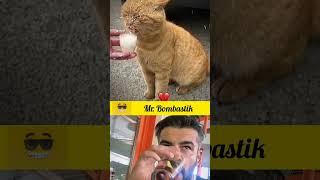 Mr. bombastic.funny shorts Mr. usman #funny