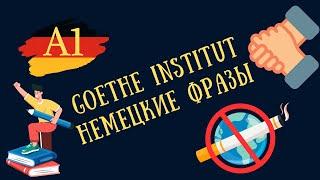 НЕМЕЦКИЙ. РАЗГОВОРНЫЕ ФРАЗЫ от Goethe-Institut с НОСИТЕЛЕМ языка.