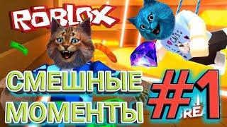 КОТЁНОК ЛАЙК И КОТИК ИГРОМАН//СМЕШНЫЕ МОМЕНТЫ #1