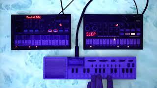 Casio VL-Tone + Volca FM & Beats