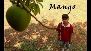 Mango  - Children Hindi Short film