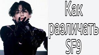 Учим группу SF9 / Как различать SF9 / Знакомство с SF9