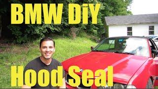 BMW Hood Seal Replacement  MillerTimeBMW DIY 16