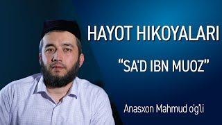 SA'D IBN MUOZ / HAYOT HIKOYALARI