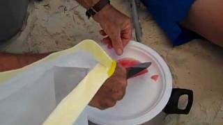 The Art of Watermelon Skinning on the Nation's #6 Ranked Beach St. George Island