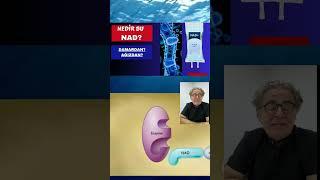 Gençliğin Sırrı, NAD, Nedir? NAD+, Antiaging, Yorgunluk, Sağlık, Video, Prof.Dr.Serdar Akgün