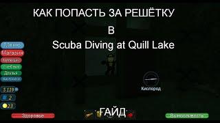 Как попасть за решётку в Scuba Diving at Quill Lake