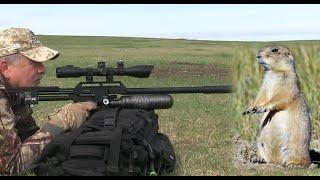 Airgun Hunting: FX Impact Airgun Prairie Dog Hunt