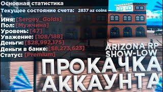 КАК БЫСТРО ПРОКАЧАТЬ СВОЙ АККАУНТ НА НОВОМ СЕРВЕРЕ ARIZONA RP SHOWLOW в GTA SAMP