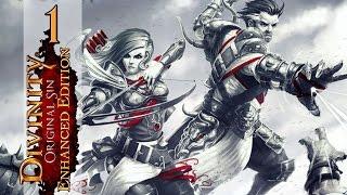 [Source] - Let's Play Divinity Original Sin: Enhanced Edition Co-op - Ep 1