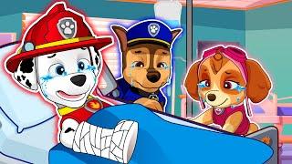 Chase & Marshall is Sick! What happened?? Happy Life Story - Paw Patrol The Mighty Movie - Rainbow 3