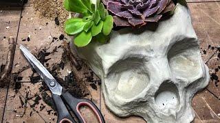 Concrete Molds for the DIY’er
