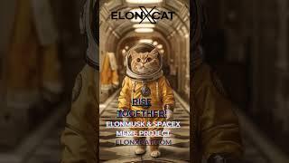 ElonXCat The Meme That’s Changing the Game