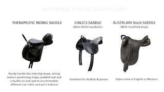 Adaptive Riding Special Equipment Used In Therapeutic Riding