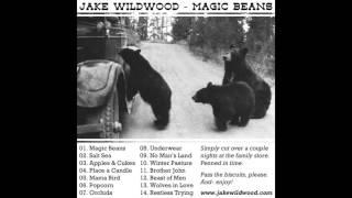 Jake Wildwood - Magic Beans - 2013 - Full Album