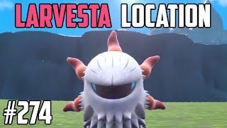 How to Catch Larvesta - Pokémon Scarlet & Violet