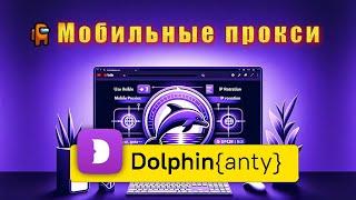 Как добавить мобильные прокси в Dolphin? Быстрый гайд!