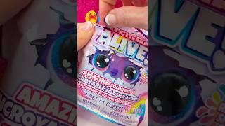 Hatchimals Alive unboxing  #hatchimals #hatchibabies #surpriseegg #unboxingtoys