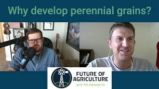 Why don't farmers grow perennial grains?