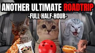 CAT MEMES: ROADTRIP FULL COMPILATION